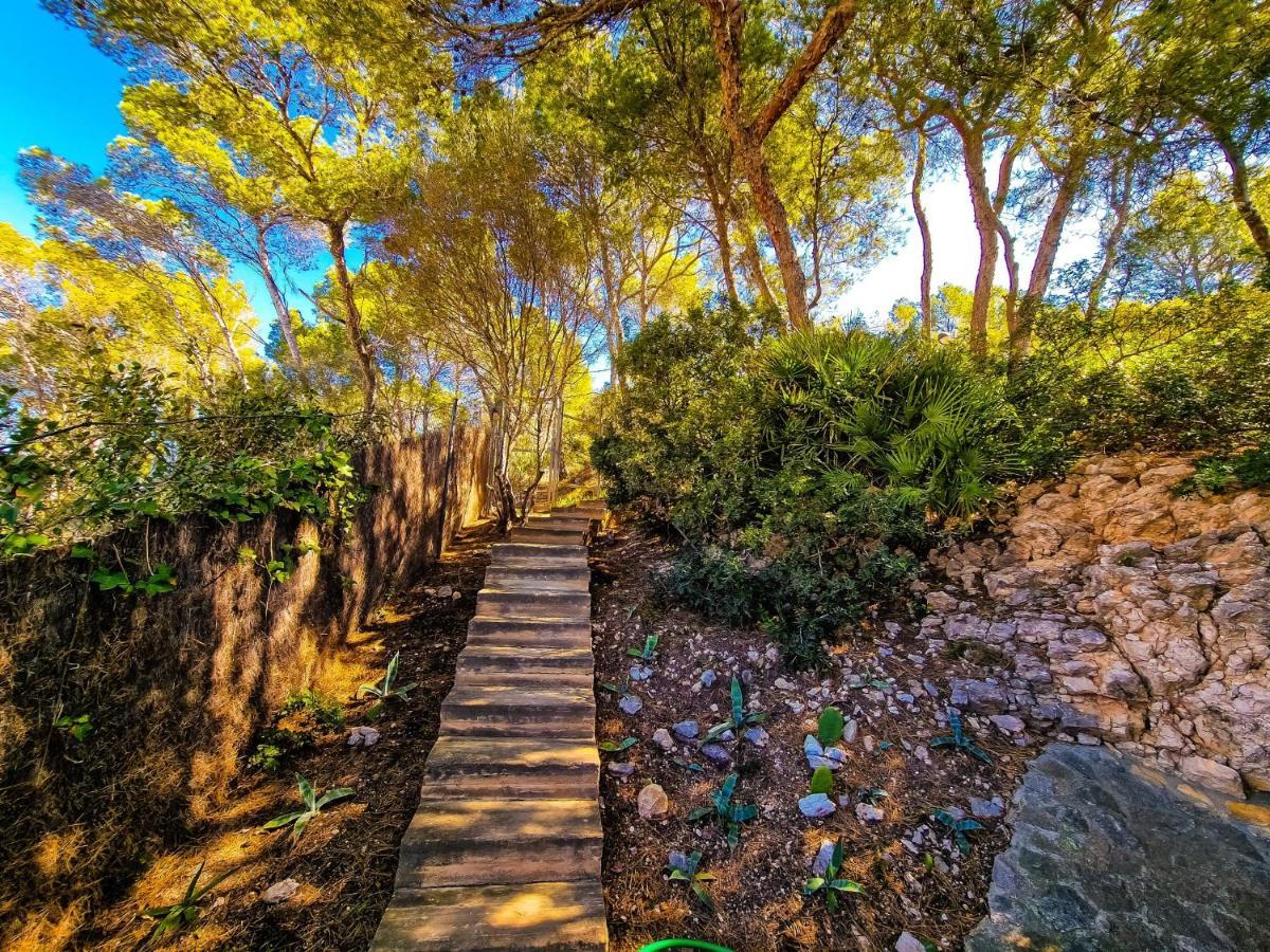 Villa Cala Llamp أندراتكس المظهر الخارجي الصورة
